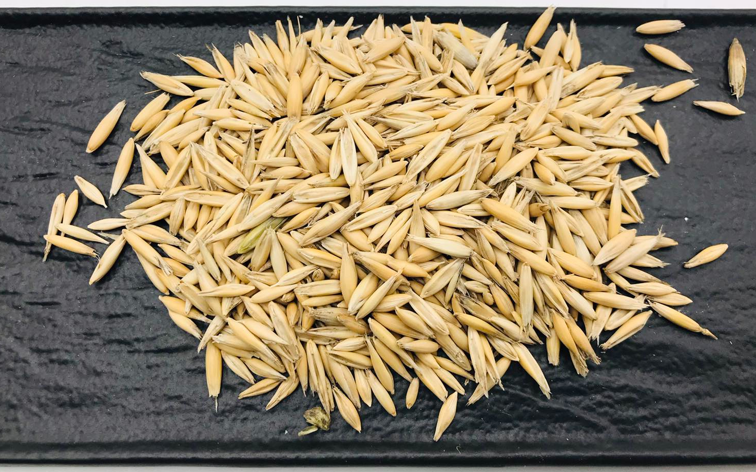 Avena para la saciedad